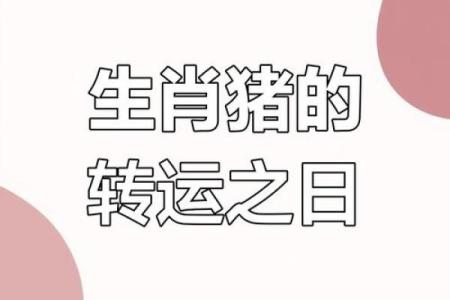 猪肖2025年运程_2025年猪肖运程详解财运事业爱情全面解析