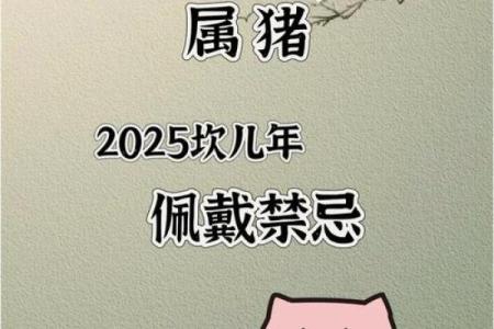 2025年属猪年龄 2025年属猪人年龄详解及运势分析