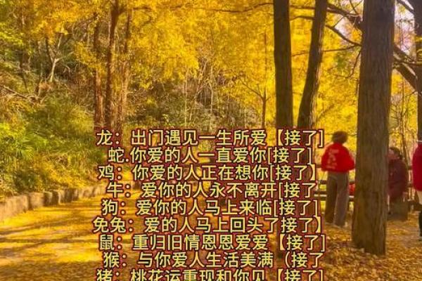 免费测算两人缘分_测两人缘份