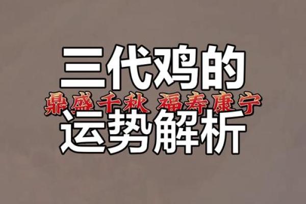 鸡年出生的人命运如何_鸡年出生年份 鸡年出生的人命运如何_鸡年出生年份