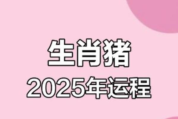 2025年83年属猪人全年运势_83年属猪最旺盛的一年