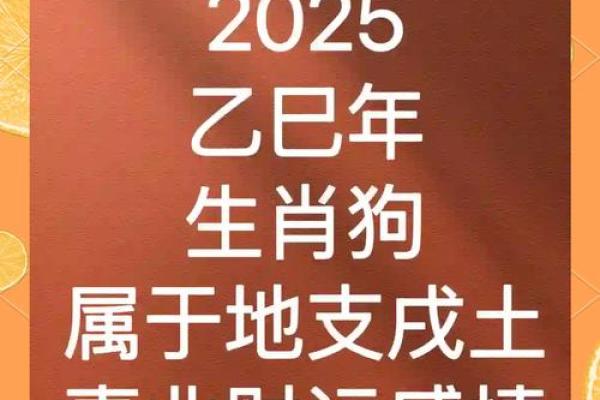 2025狗年运程1982年运势_2025狗年运程1982年运势女 2025狗年运程1982年运势_2025狗年运程1982年运势女