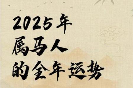 属马今年多大了2025年_2025年属马人年龄对照表今年多大岁数