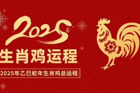 1969年属鸡的2025全年运势 1969年属鸡2025年运势详解全年运程大揭秘