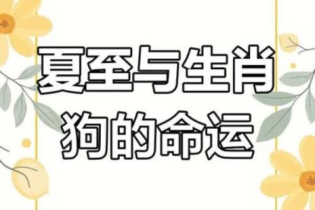 1994年属狗的婚姻与命运_1994年的生肖狗的婚姻及运程