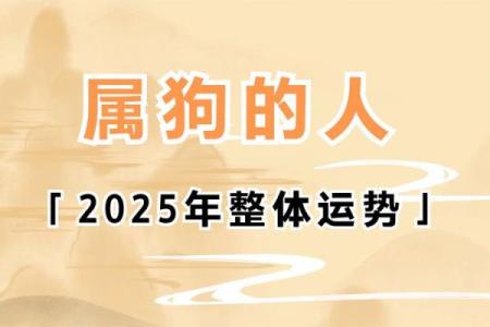 2025狗年运程1982年运势_2025狗年运程1982年运势女