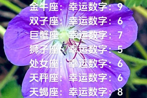 白羊座今日幸运颜色和数字(白羊座今天的幸运颜色)