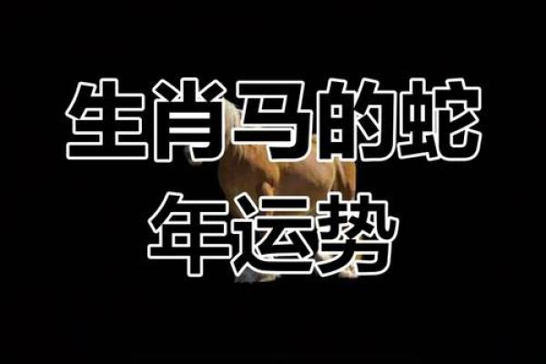 马运势2025_今年属马运势2025