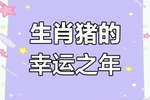 2025年属猪的婚姻运势 2025年属猪人婚姻运势解析幸福指数大揭秘
