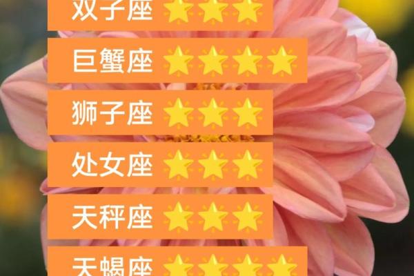 白羊座今年财运