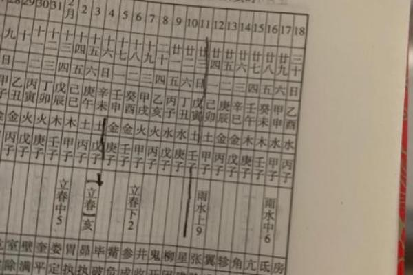 1996年1月属猪还是老鼠 96年一月28到底属猪属鼠