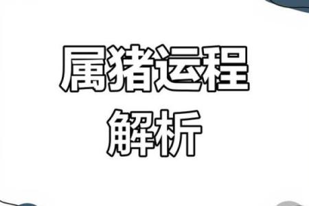 1983属猪适合住几楼层_1983属猪最佳楼层选择指南提升运势的秘诀