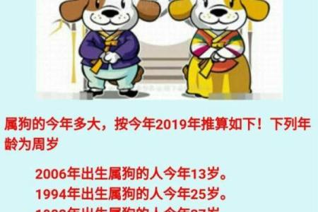 属狗的2025年多少岁_2025年属狗的人多少岁年龄计算全解析