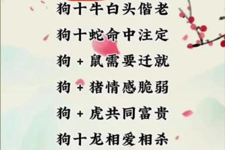 鸡男和狗女的属相能婚配吗_鸡男和狗女的属相能婚配吗 贴吧