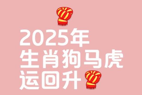 属狗的人2025年运势及运程_属鸡的人2025年运势及运程