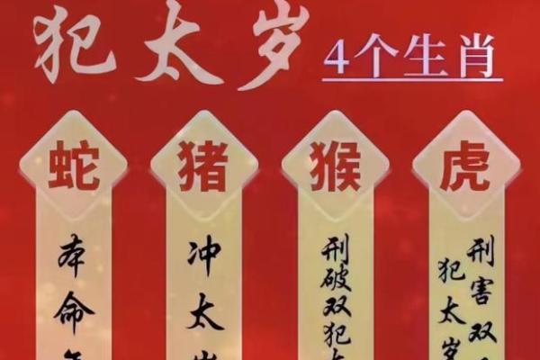 2025年属猪犯什么太岁_2025年属猪人的全年运势详解