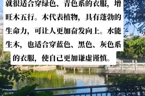 属狗人2025最旺的颜色_属虎人永远最旺的颜色 属狗人2025最旺的颜色_属虎人永远最旺的颜色