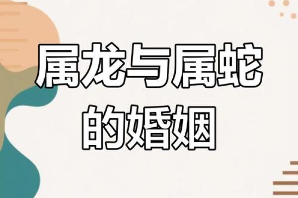 属猪男和属蛇女的相配吗_属猪男和属蛇女相配吗揭秘最佳婚配指南 属猪男和属蛇女的相配吗_属猪男和属蛇女相配吗揭秘最佳婚配指南