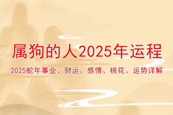 2025年属狗人运势详解全年运程预测与吉凶分析 2025年属狗人运势详解全年运程预测与吉凶分析
