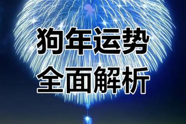 2025年属狗运势解析1982年出生者运程全揭秘 2025年属狗运势解析1982年出生者运程全揭秘