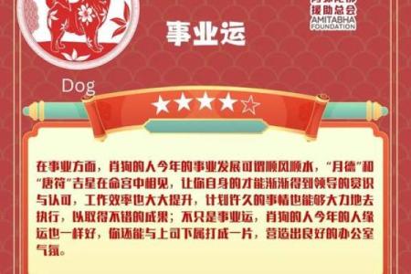 2025年属狗人运势详解财运事业感情全解析_1739573306