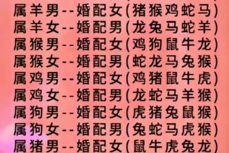 属猪男和属蛇女的相配吗_属猪男和属蛇女相配吗揭秘最佳婚配指南