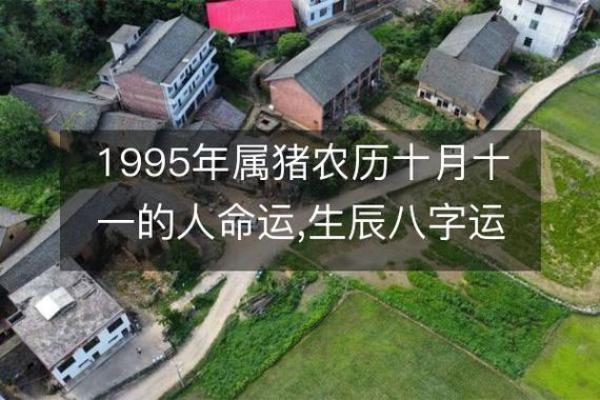 1996年2月11日出生属猪还是鼠生肖解析