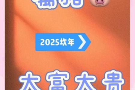 1983年属猪2025年多少岁 1983年属猪2025年运势及年龄详解