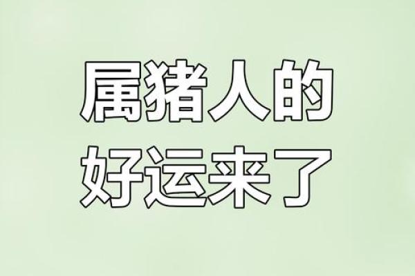2025年属猪女性三喜临门_属猪人2025转大运时间 2025年属猪女性三喜临门_属猪人2025转大运时间