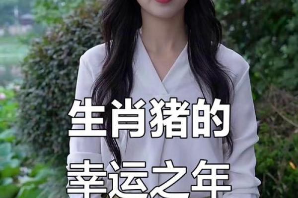 2025年属猪女 2025年属猪女性运势 2025年属猪女 2025年属猪女性运势