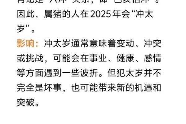 2025年属猪1995年出生者运势详解与预测