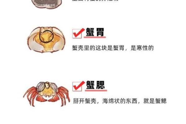 哪个星座喜欢吃螃蟹