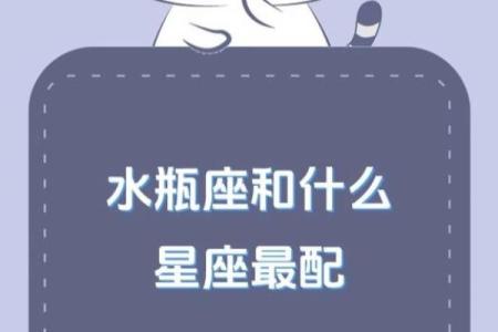 水瓶座和什么星座最合适当情侣的