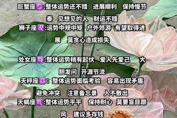 12月1号的星座运势