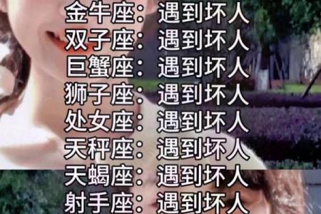 十二星座喜欢看哪个电视剧