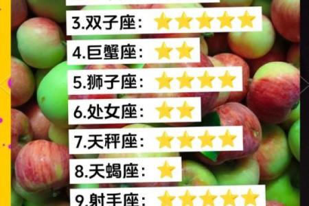 今天的星座运势是什么