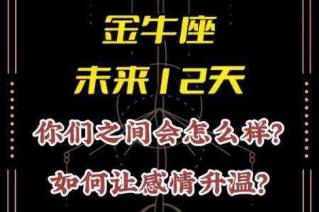 陶白白星座攻略金牛座运势