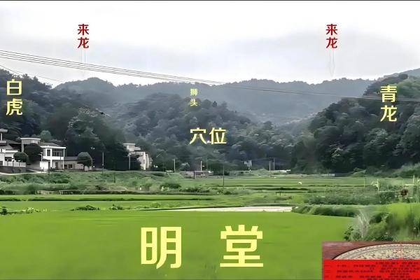 祖坟风水不好的现象