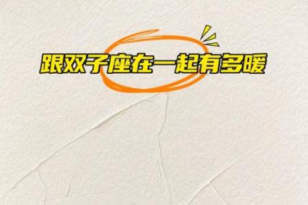 双子要跟哪个星座在一起最好