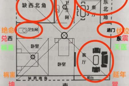 客厅风水的方向都代表着什么呢