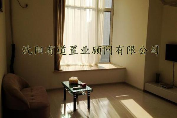 沈阳钻石星座房价为什么便宜