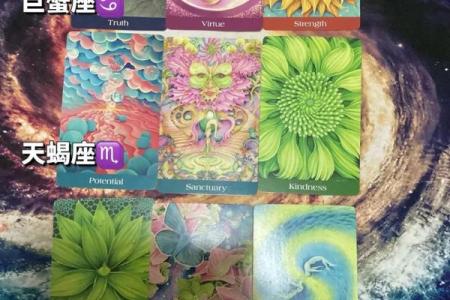 水象星座哪个运气更好