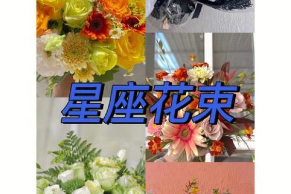 12星座最喜欢的玫瑰花是哪种