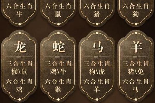 风水一生最穷的生肖女性财运不佳