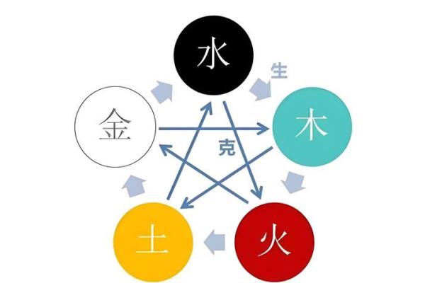 风水五行缺土怎么补土最旺摆放植物可以吗