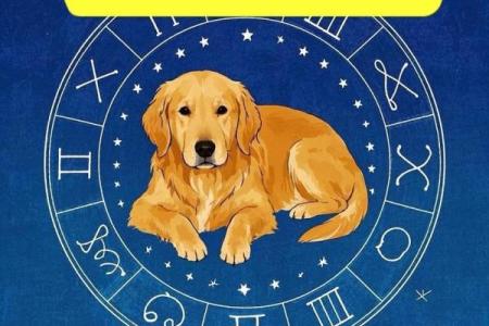 狼指十二生肖中的哪个星座
