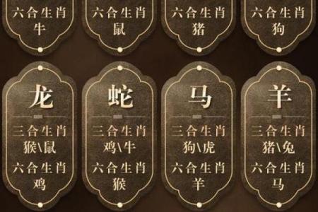风水一生最穷的生肖女性财运不佳