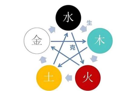 风水五行缺土怎么补土最旺摆放植物可以吗