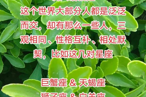 双鱼座跟白羊座哪个星座好一点