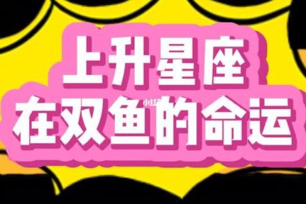 双鱼的温柔给了哪个星座